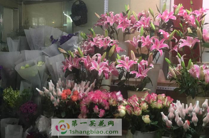 �L���»��л���
