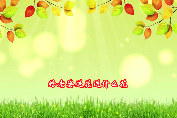 �o�����ͻ���ʲô��