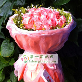 9֧õ��/�옷����
