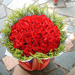 ��ֻ�ں���