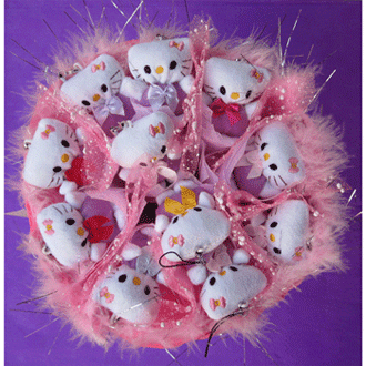 hollekitty��ͨ����